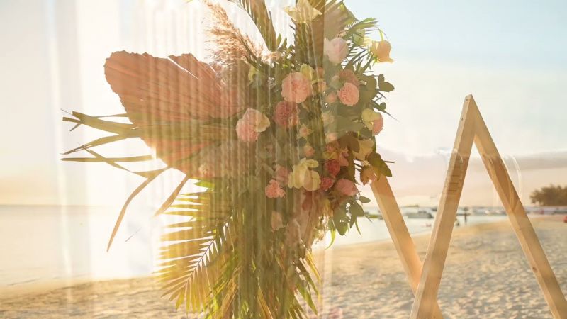 william events beach proposal